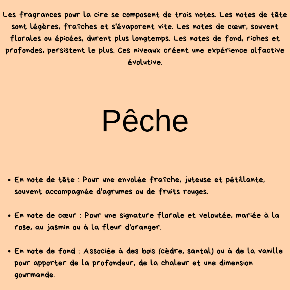 Huile pour brûleur électrique -  Pêche